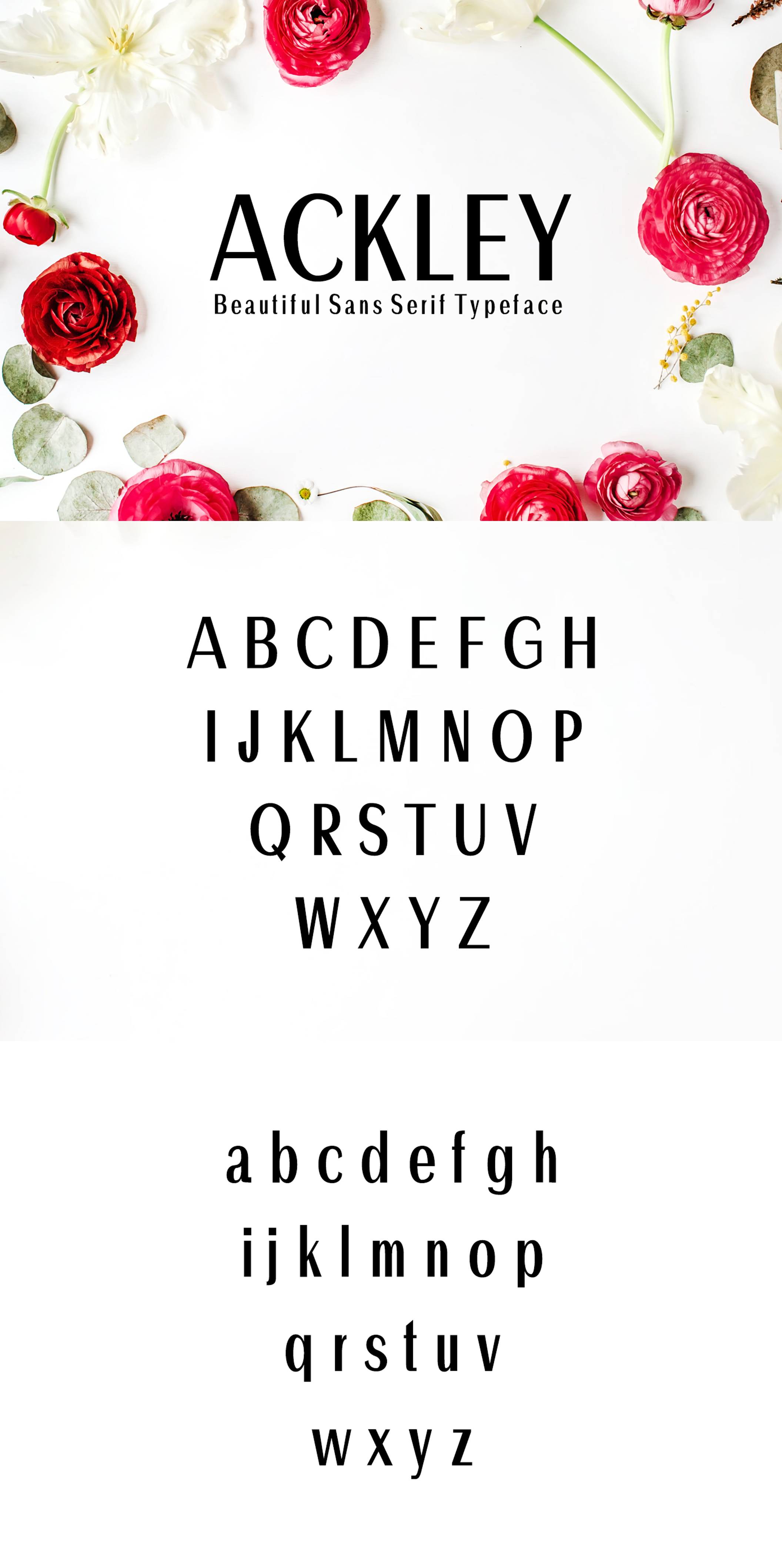 好看的ackley英文字体包.font字体下载