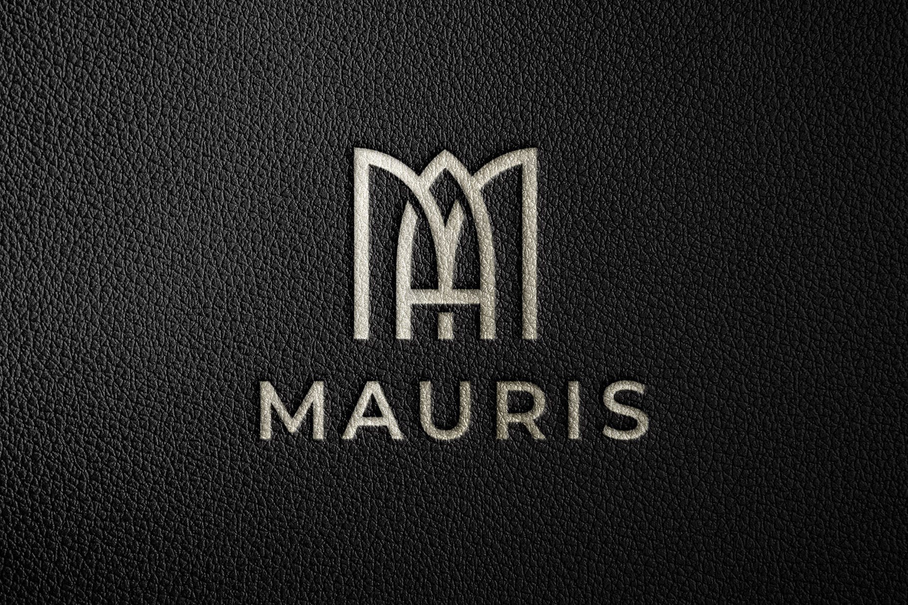 皮革烫金激凸压印效果的logo样机(psd)